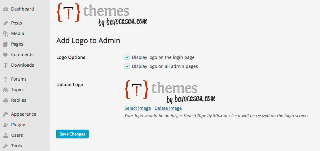 The Add Logo to Admin page