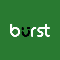 Burst Statistics – Privacy-Friendly Analytics for WordPress icon