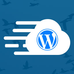 Cloudways WordPress Migrator icon