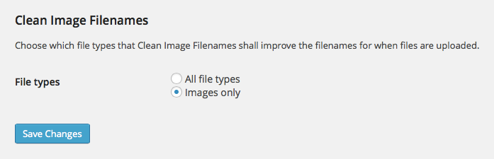 Easily choose between cleaning the filenames of all file types or images only.