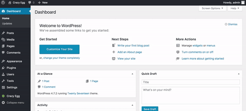 Quick, simple and easy way of installing Crazy Egg on your WordPress site.