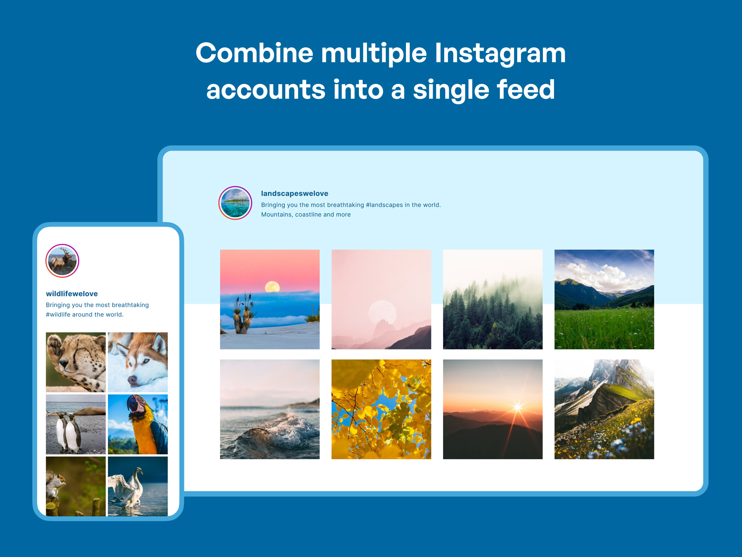 Easily display feeds from any of your Instagram accounts