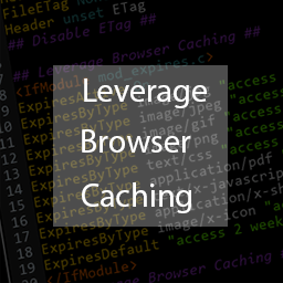 Leverage Browser Caching icon