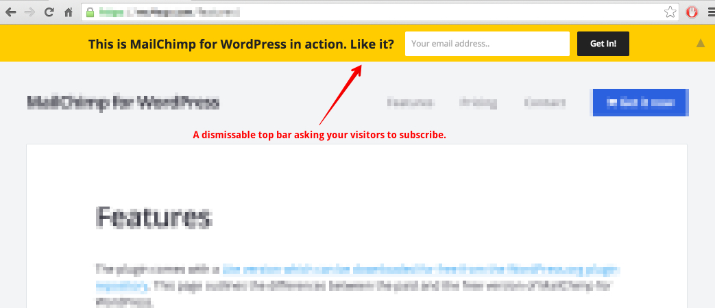 The Mailchimp Top Bar in action on the <a href="https://www.mc4wp.com/#utm_source=wp-plugin-repo&amp;utm_medium=mailchimp-top-bar&amp;utm_campaign=screenshots">Mailchimp for WordPress site</a>.