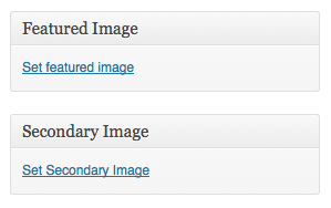 Admin meta box showing a new thumbnail named 'Secondary Image'.