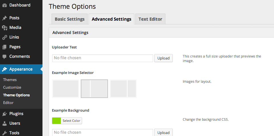An example of the "Advanced Options" tab in the "Options Check" theme using this plugin.