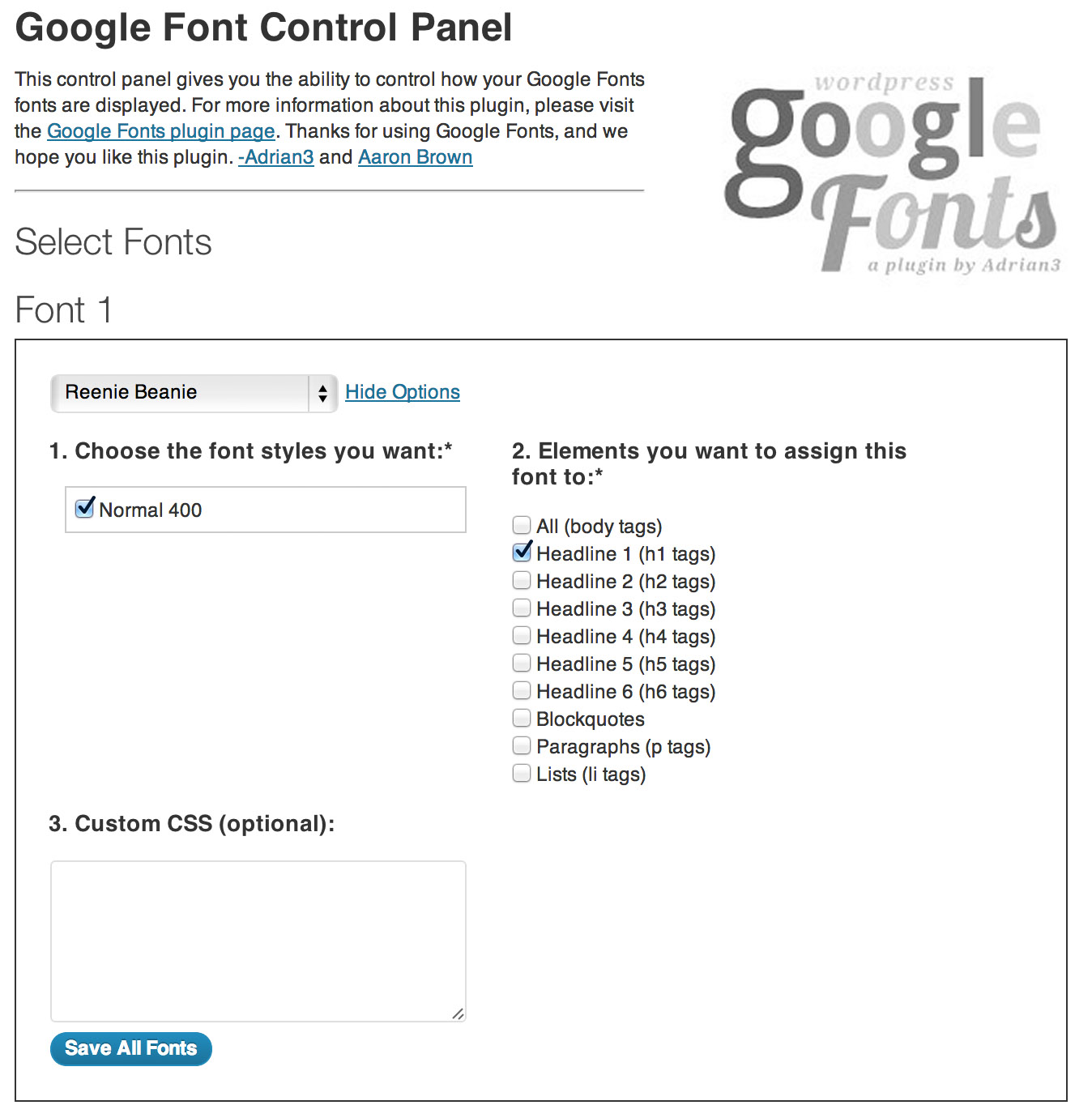 This screenshot shows the "settings" panel for the WP Google Fonts plugin.