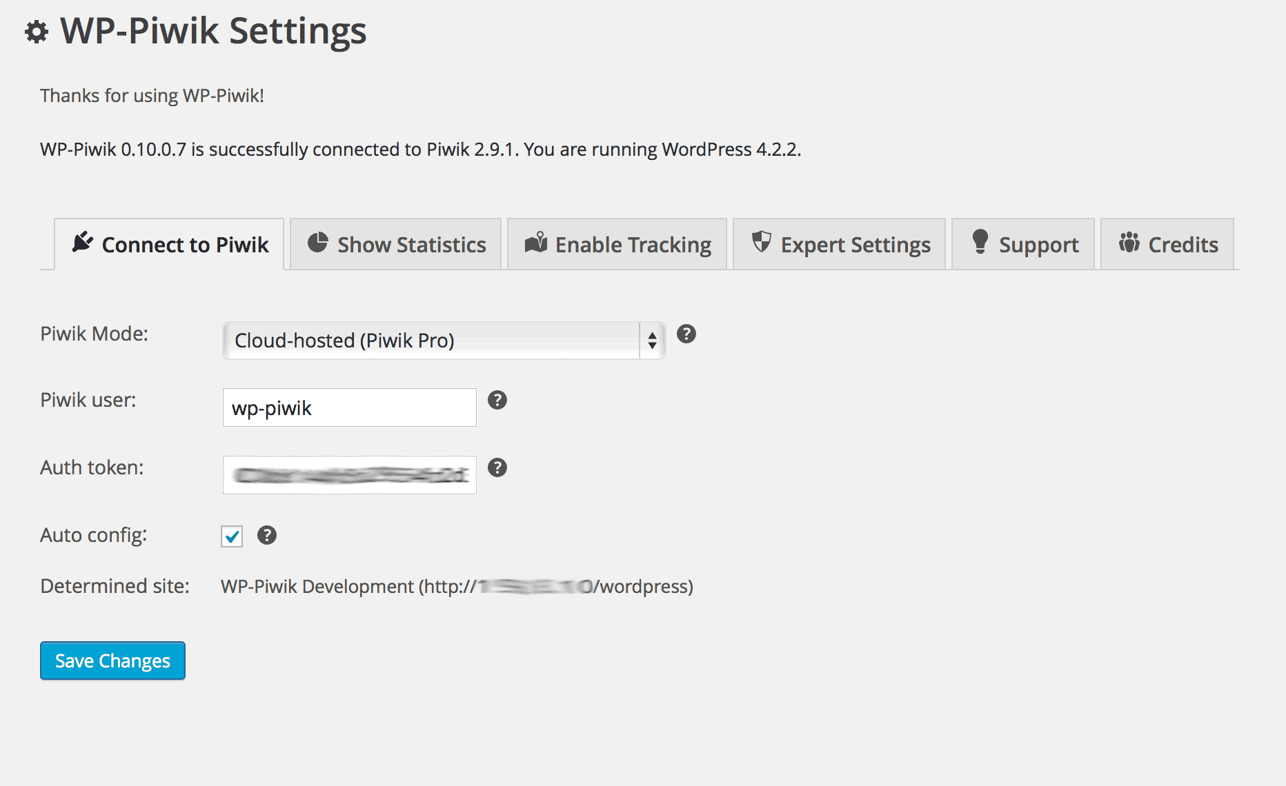 WP-Matomo settings.
